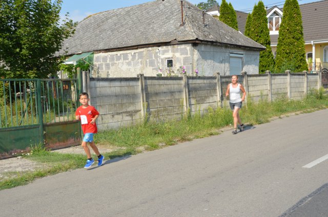 Falunap 2017